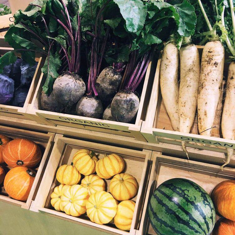 敦南真爱月子会所和江苏一号农场有机蔬菜种植