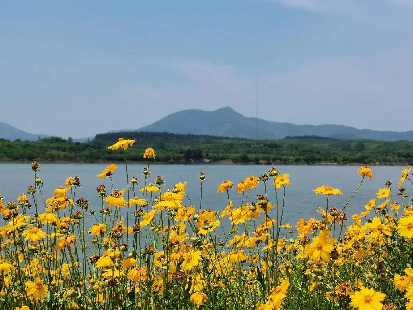 金坛上阮村的向阳水库,水质优良,风光秀美,是游玩的好地方|游山玩水