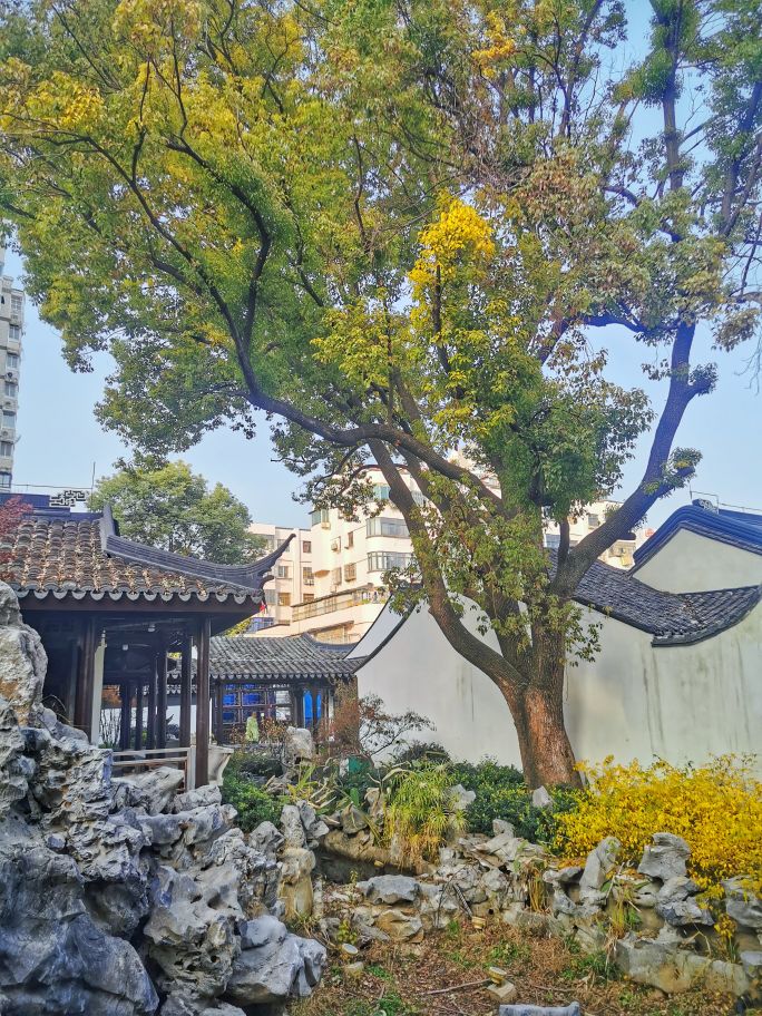 常州园林:意园|龙城茶座-化龙巷