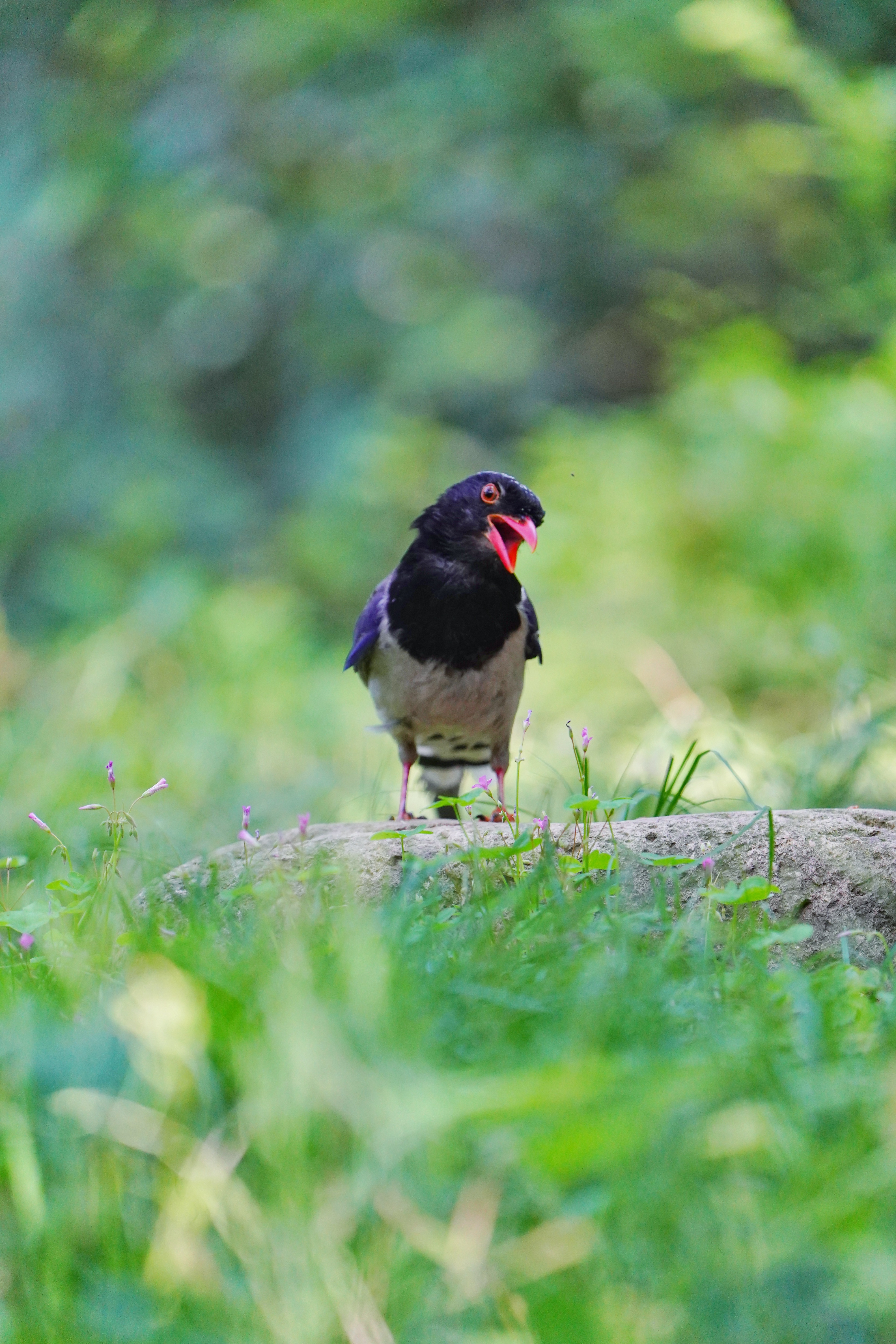 >[打印本页]>4000_6000竖版 竖屏