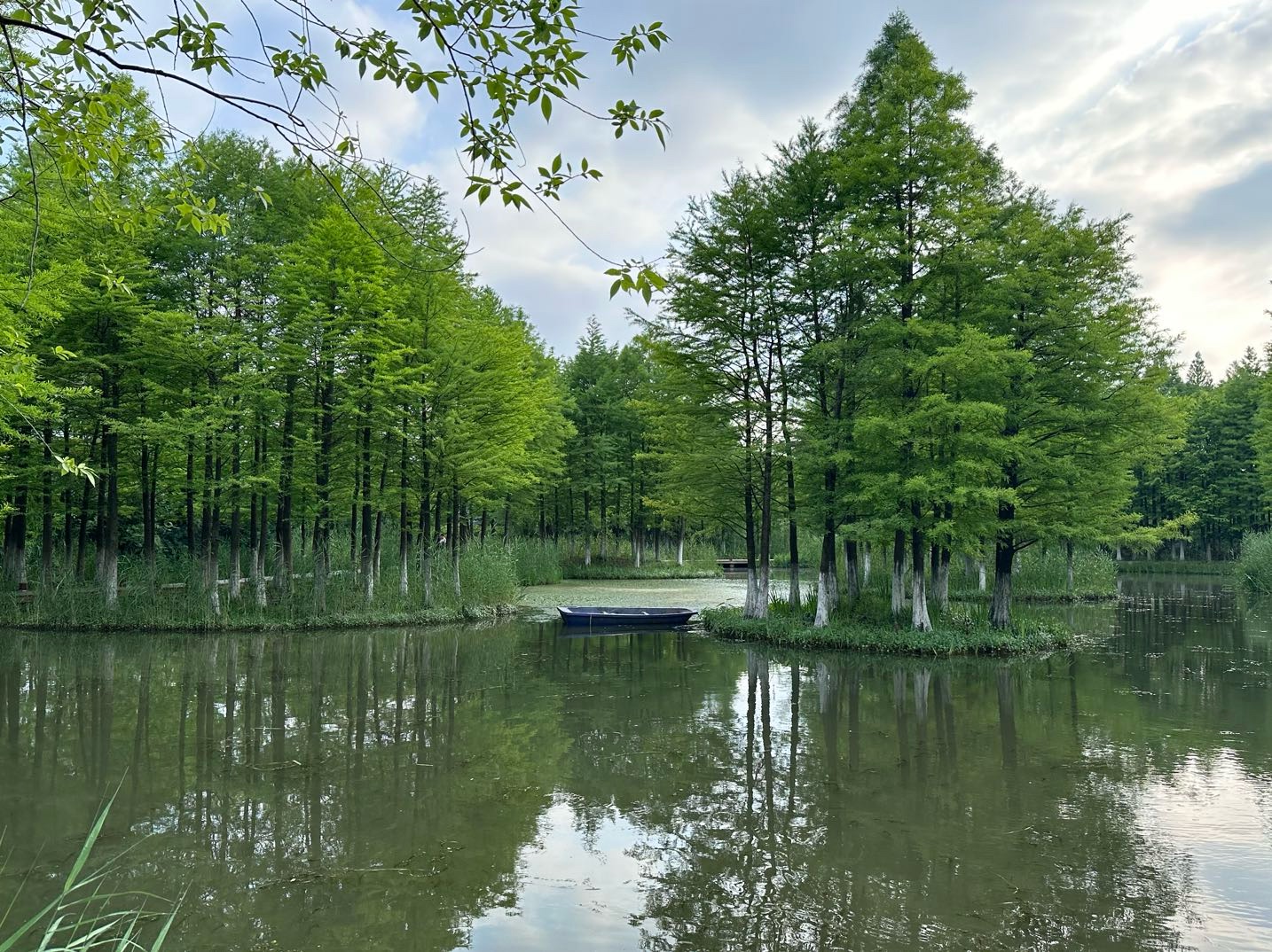 常州丁塘河湿地公园图片