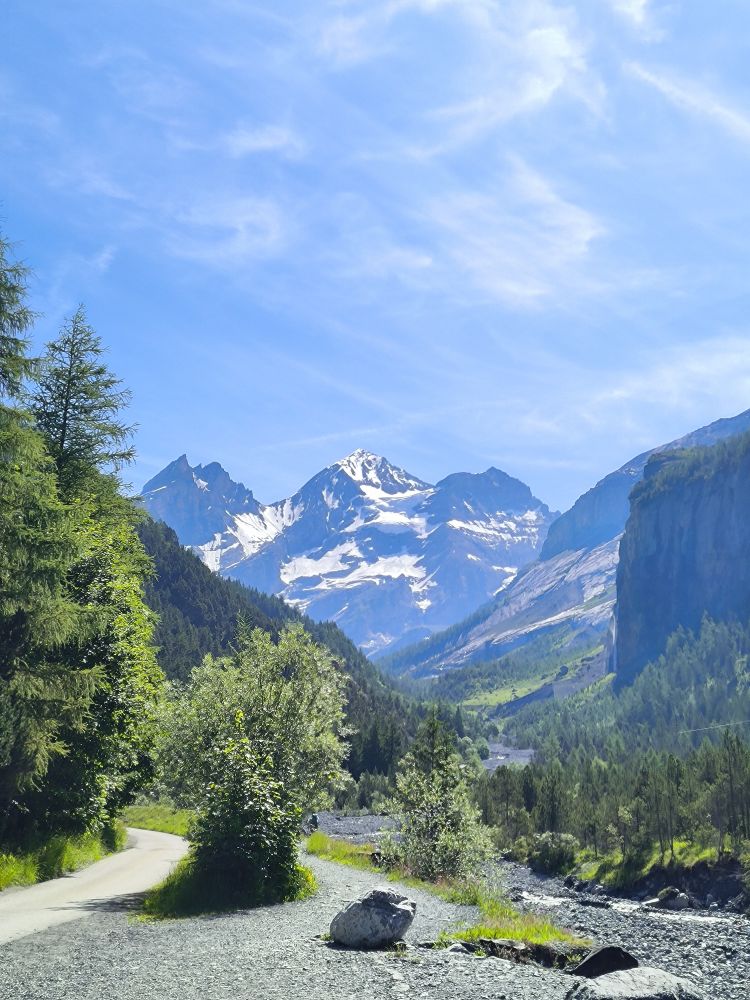 阿尔卑斯山