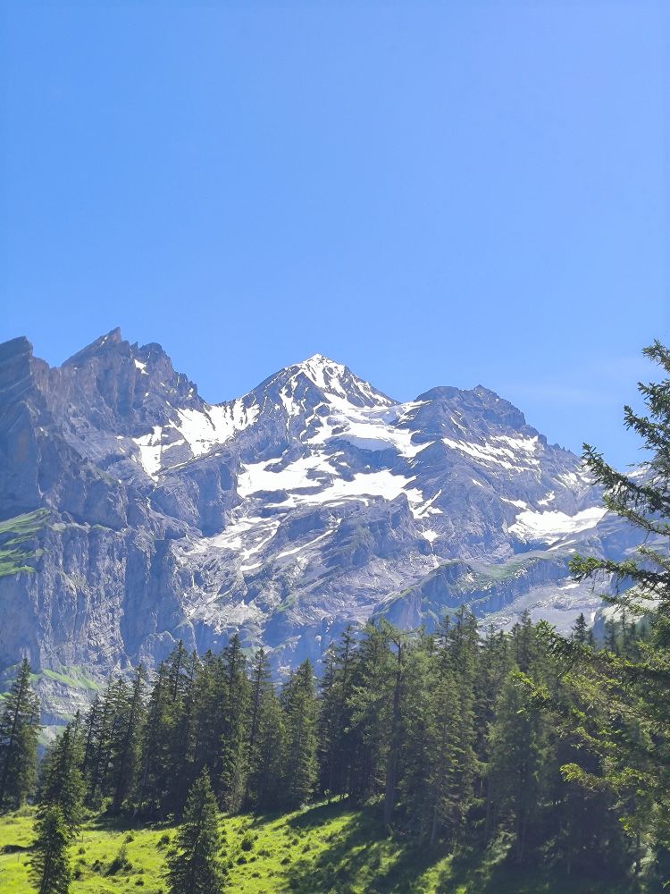 阿尔卑斯山