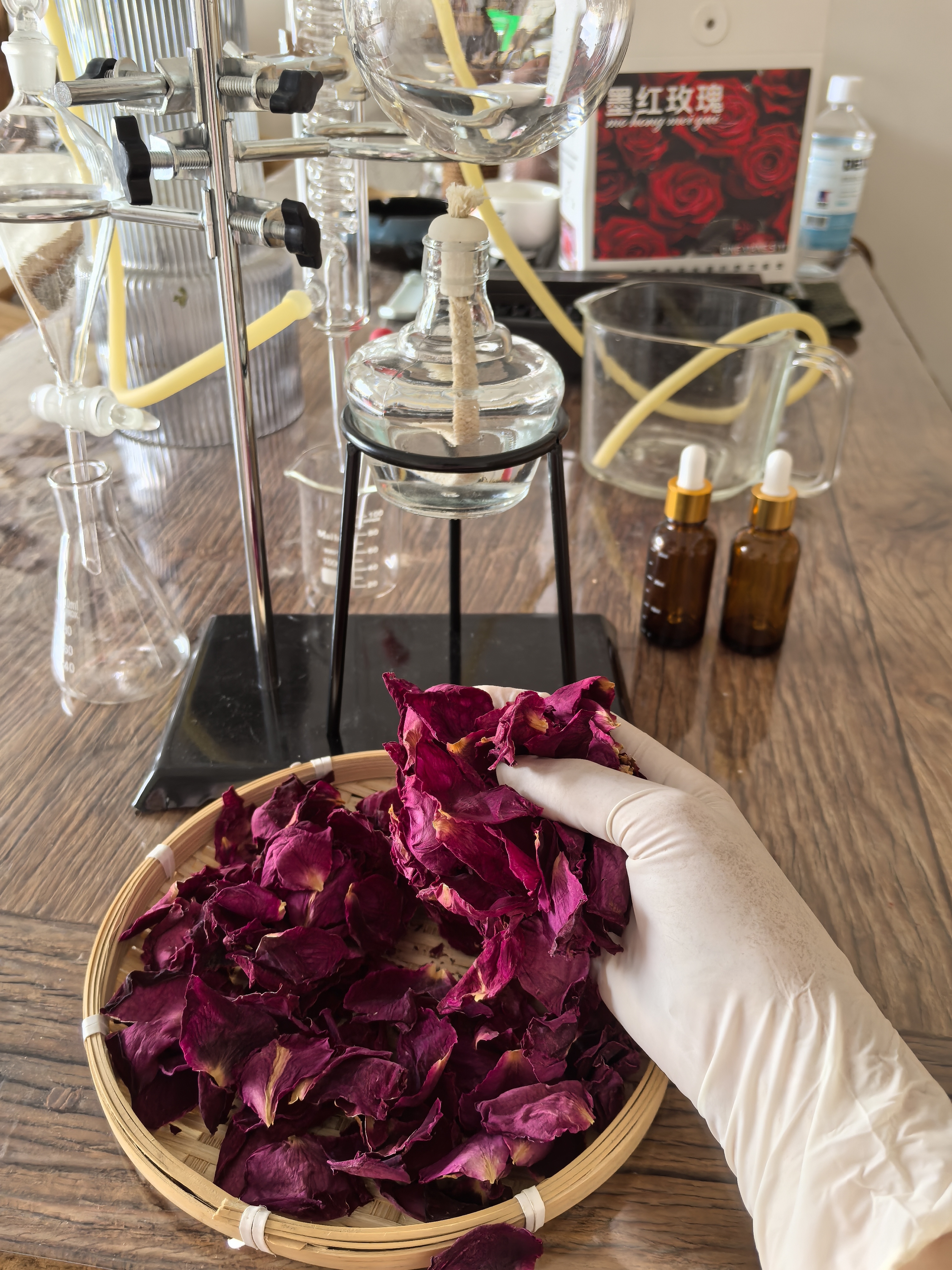 墨红玫瑰//提炼//精油
