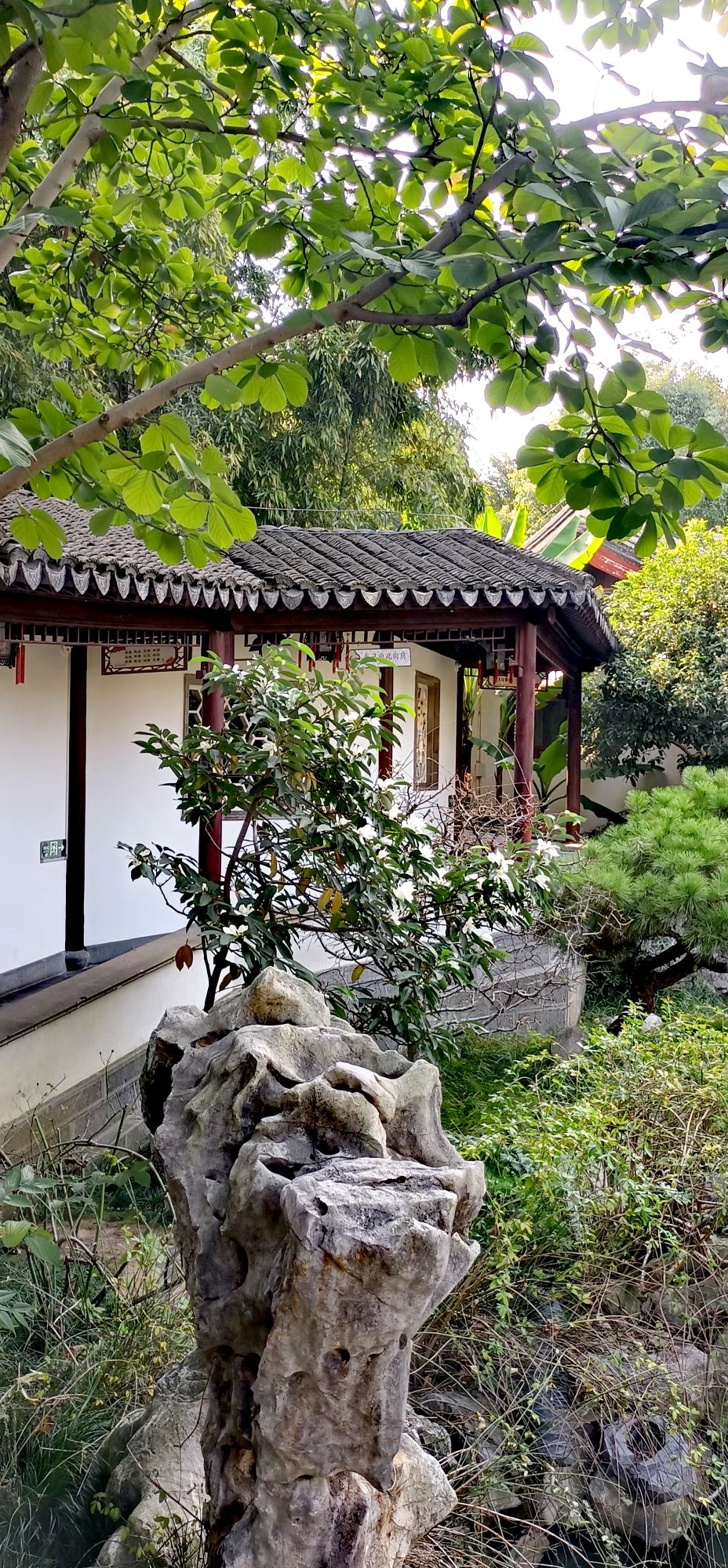 南京瞻园金陵第一园古典园林历史悠久位于南京秦淮区夫子庙