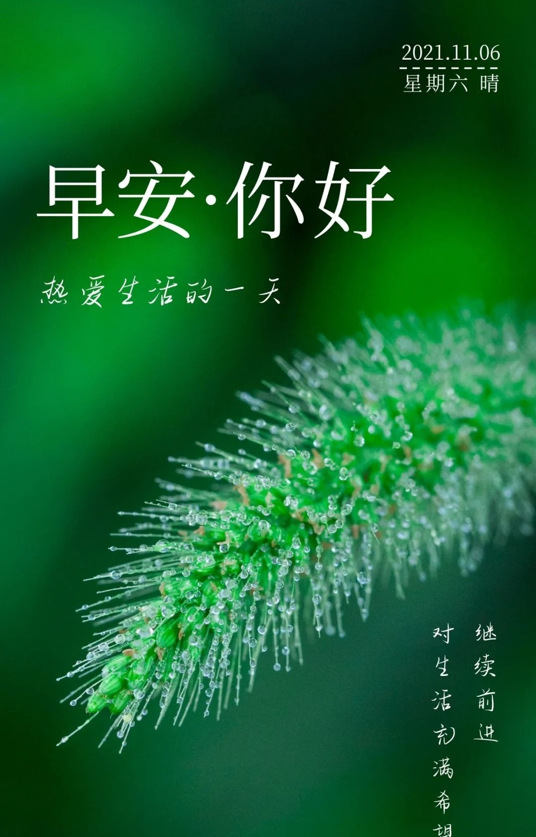 今天是11月6日周六早安明日立冬美好的一天又开始了