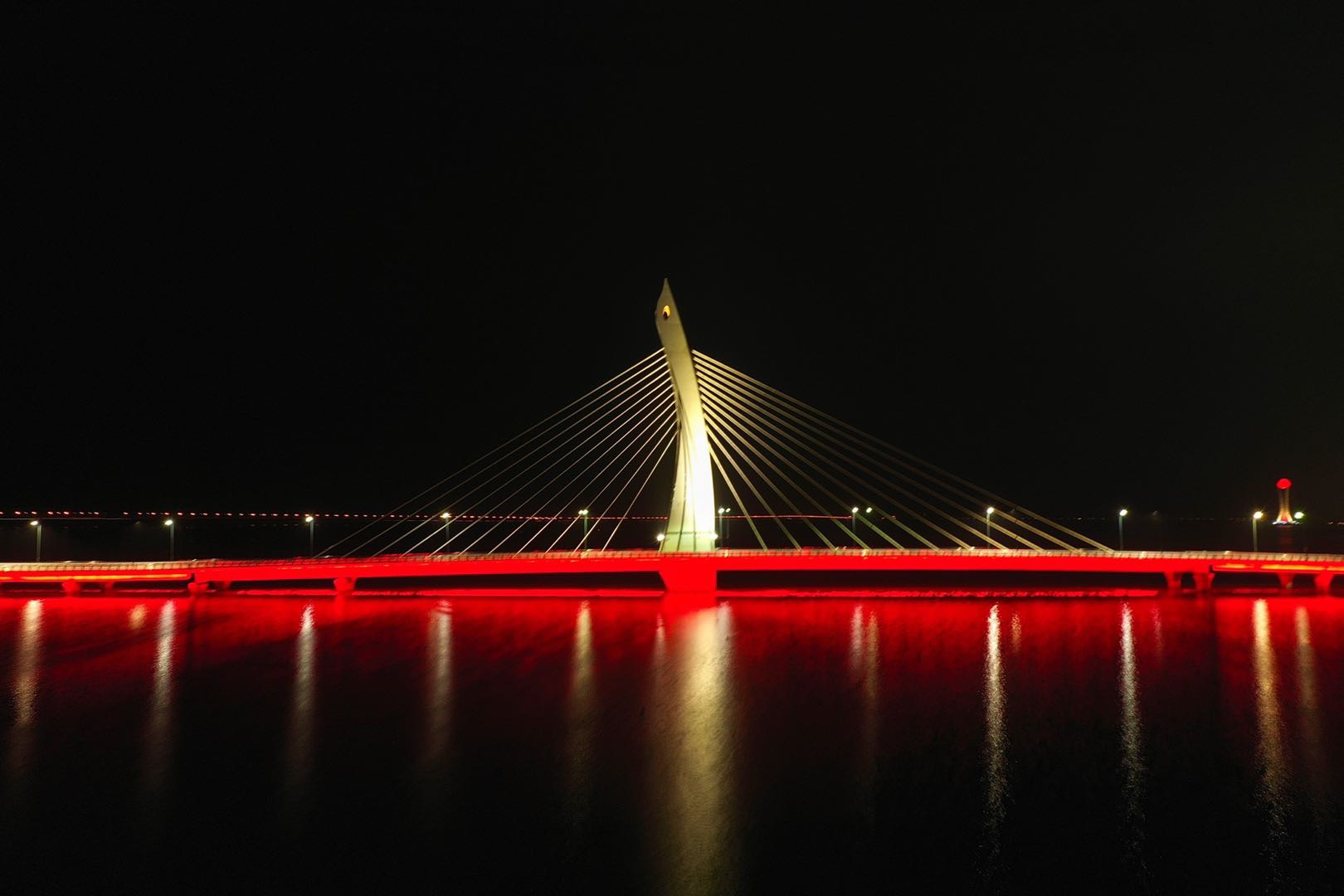太湖大桥夜景图片